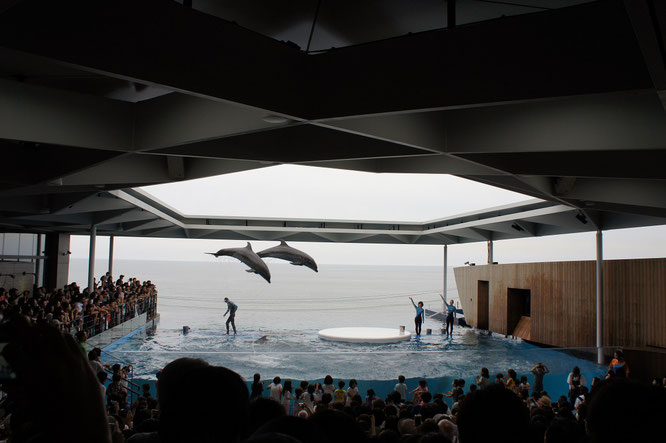 ＃上越市　＃上越市立水族博物館　＃うみがたり　＃グランド・オープン