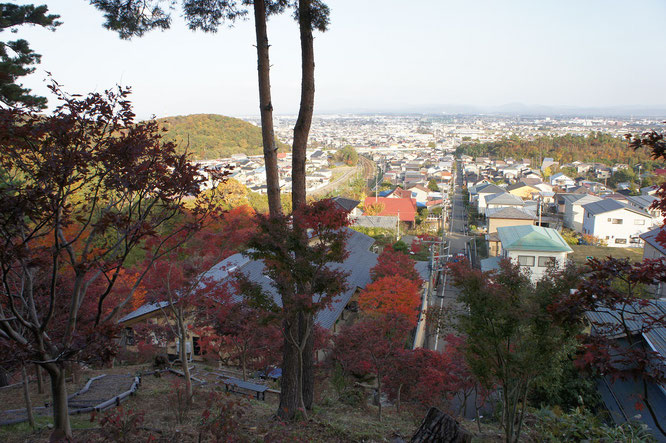 上越の街なかにこの絶景。感動、間違いなしです！