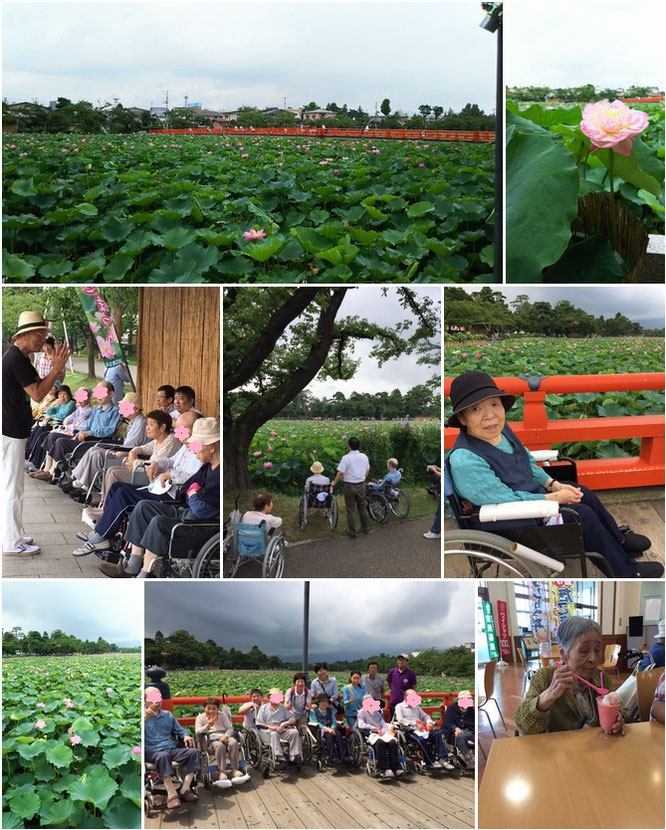 何はともあれ、お天気も味方した高田公園・蓮見学。夏のひと時を満喫しました!