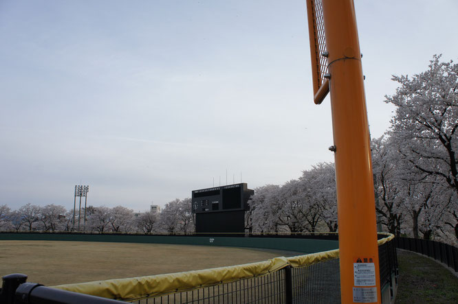 17：25　最初に向かった先は「高田公園野球場」。高校時代、この季節の練習試合は格別でした