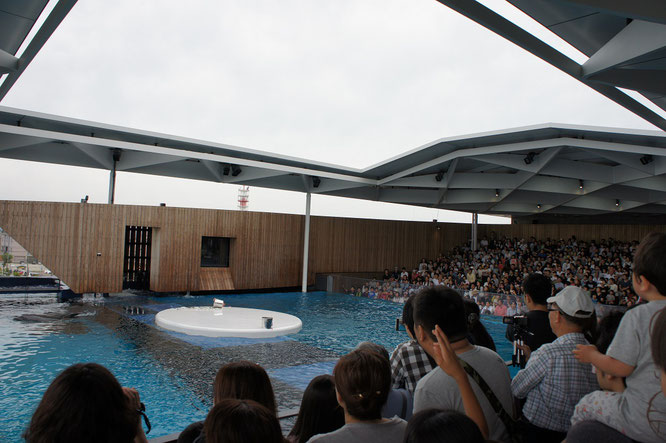 ＃上越市　＃上越市立水族博物館　＃うみがたり　＃グランド・オープン