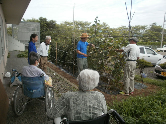 キュウリさん、思い出いっぱいの夏をありがとう。また来年、会いましょう!