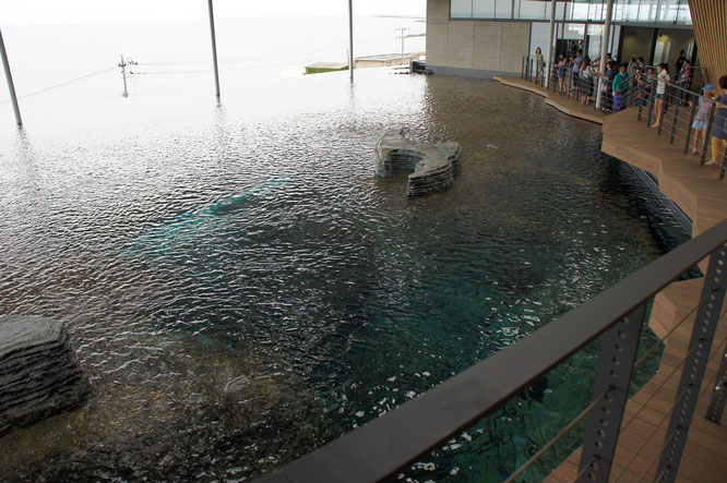 ＃上越市　＃上越市立水族博物館　＃うみがたり　＃グランド・オープン