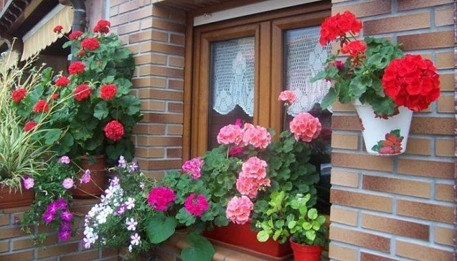 JARDINERAS