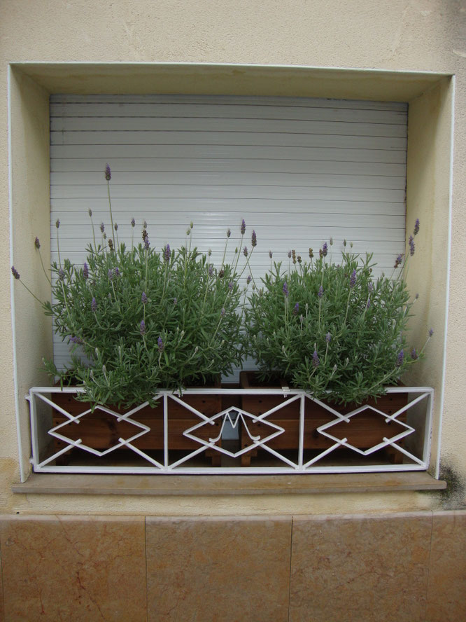 Jardineras de madera + lavanda