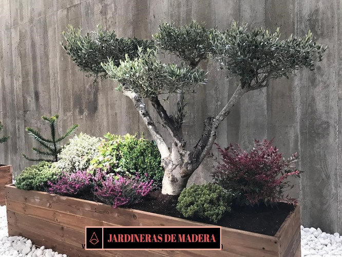 jardinera