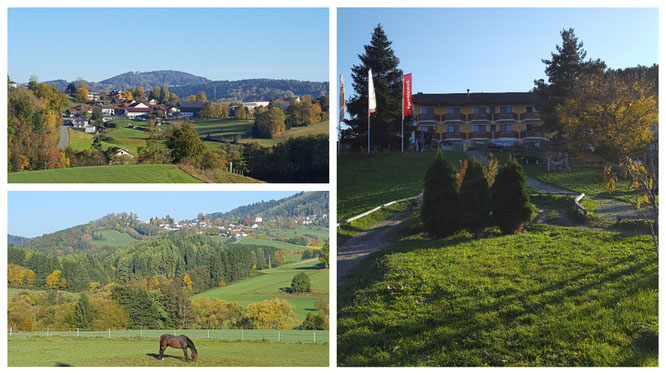 Urlaub im familotel Landhaus zur Ohe
