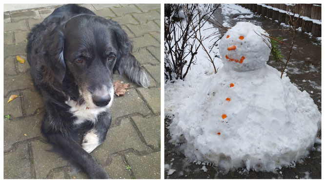 Dieses Wochenende hatten wir tierischen und winterlichen Besuch