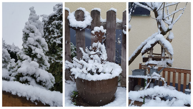 Winterliche Garten-Impressionen