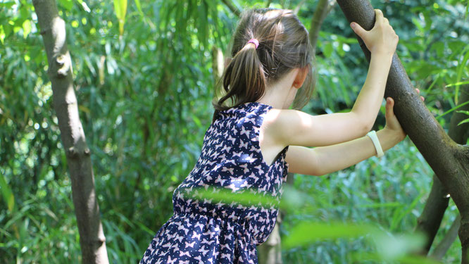 Unsere Große klettert auf einem Baum am Spielplatz im Palmengarten Frankfurt