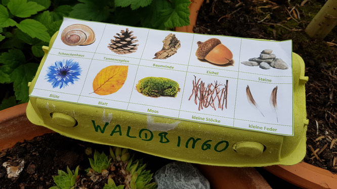 Unser Eierkarton-Waldbingo ist startklar