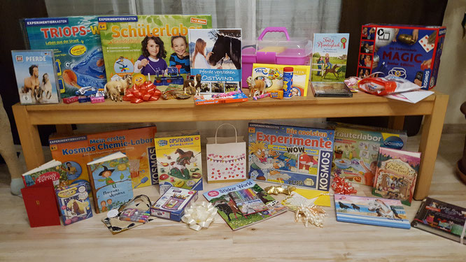 Alle Geburtstagsgeschenke für unsere Achtjährige auf einem Blick