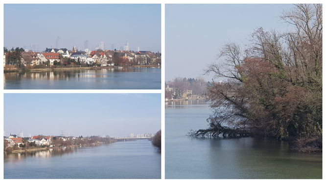 Blick von der Schleuse Griesheim in Frankfurt am Main