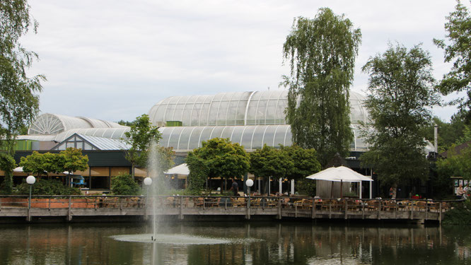 Blick auf den Market Dome im Centerparc Erperheide