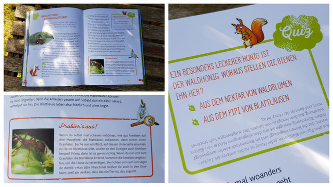 Einblick in das Buch "Hörst du, wie die Bäume sprechen?"