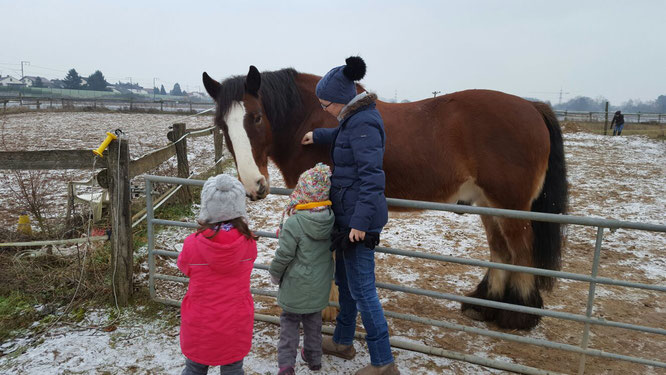Sonntagsspaziergang zur Pferdekoppel