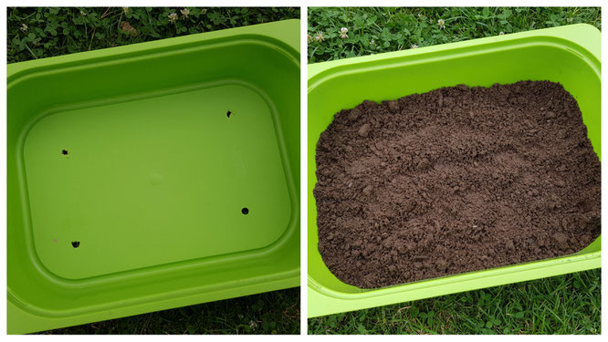 Die Basis für unseren Feengarten: eine Trofast-Box von Ikea