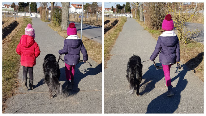 Wir gehen Gassi mit unserem Gasthund