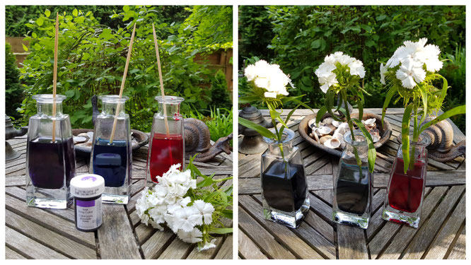 Stellt die Blumen in gefärbtes Wasser