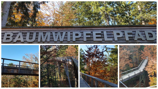 Impressionen vom Baumwipfelpfad Bayerischer Wald