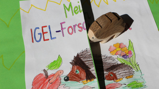 Das Igel-Forscherbuch unserer Großen mit einem Ostheimer Igel
