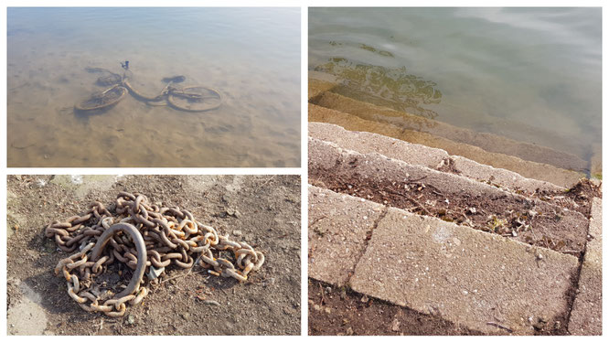 Impressionen von unserem Spaziergang am Main an der Schleuse Griesheim in Frankfurt am Main
