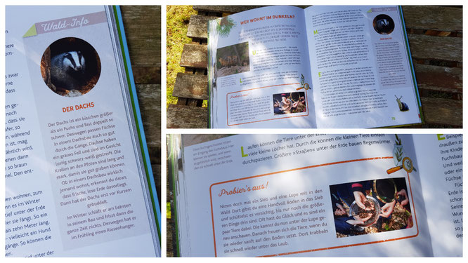 Einblick in das Buch "Hörst du, wie die Bäume sprechen?"