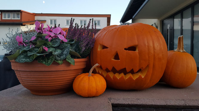 Halloween-Kürbis an unserem Eingang