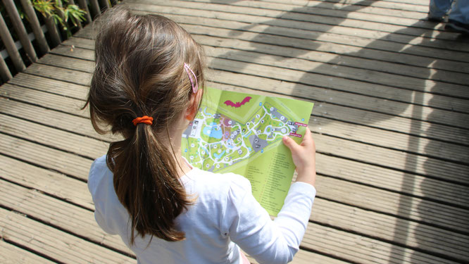 Unsere Kleine sucht mit einem Zooplan den richtigen Weg