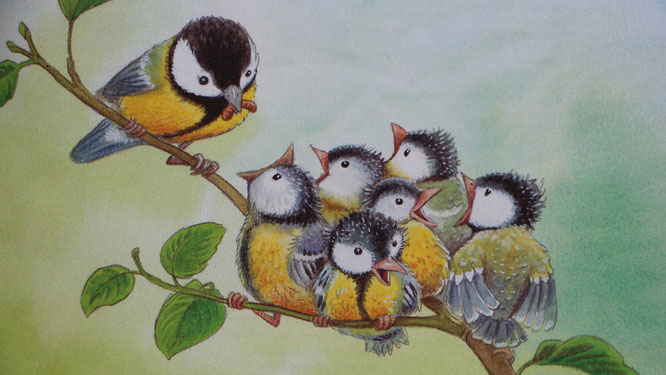 Bild aus dem Buch "Die kleine Meise" - eine Meisenmutter füttert ihre Vogelkinder