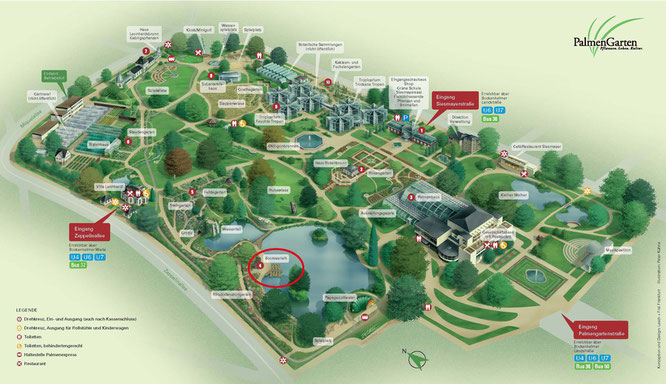 Lageplan vom Palmengarten