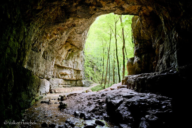 Blick aus der Falkensteiner Höhle. Links im Bild der Höhlenbach, der die Elsach bildet.