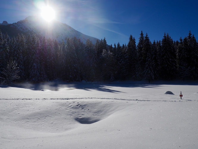 Après la dernière chute de neige, le superbe lac de Freydières au pied des montagnes de Belledonne. Actuellement, malgré la grande douceur, encore il est encore gelé (un peu) et les alentours enneigés.