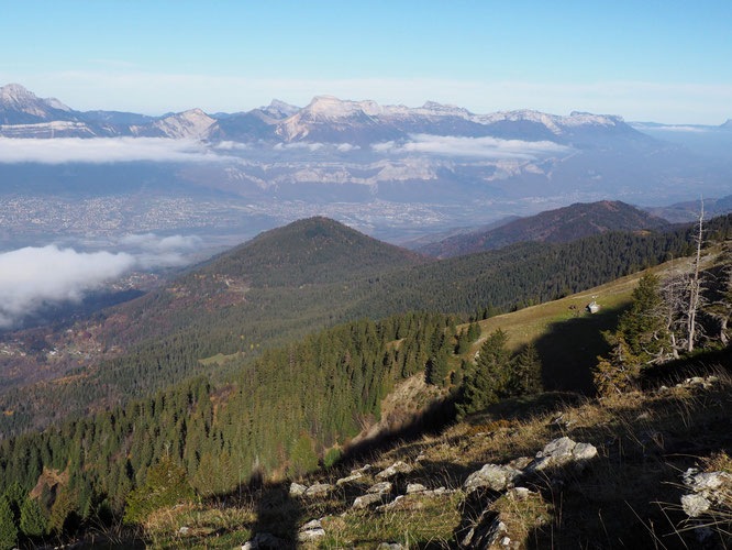 "... arrivés au niveau des alpages nous étions accompagnés par un beau et vrai silence...". C'était hier vers le Grand Colon. 