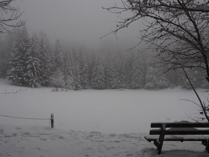 La photo n'est pas en Noir et Blanc. Ce matin après le lever du jour c'est le paysage qui était ainsi baigné dans la brume et la neige autour du lac de Freydières. Charme, poésie et fraîche douceur de notre montagne hivernale.