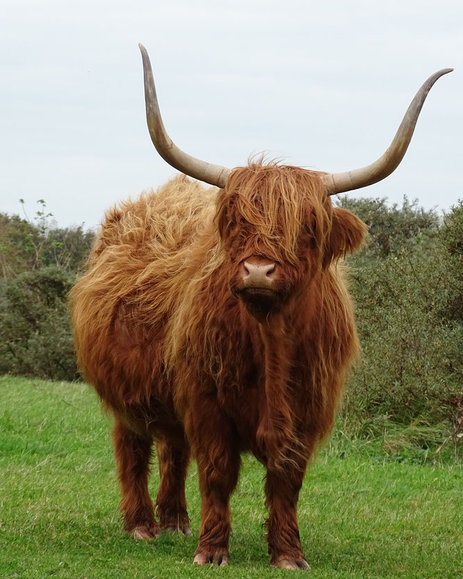 Fotograferen maakt me gelukkig