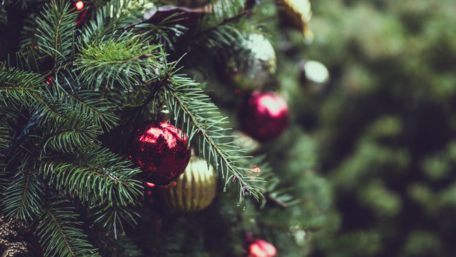 ik wil een gratis kerstboom