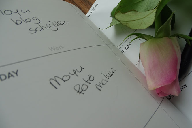 MOYU notitieboek review