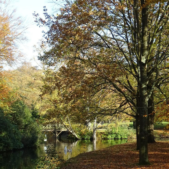 Landgoed Clingendael wandelen