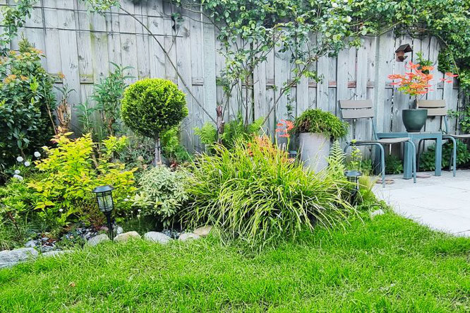 tips tuin influencer en tuinblogger