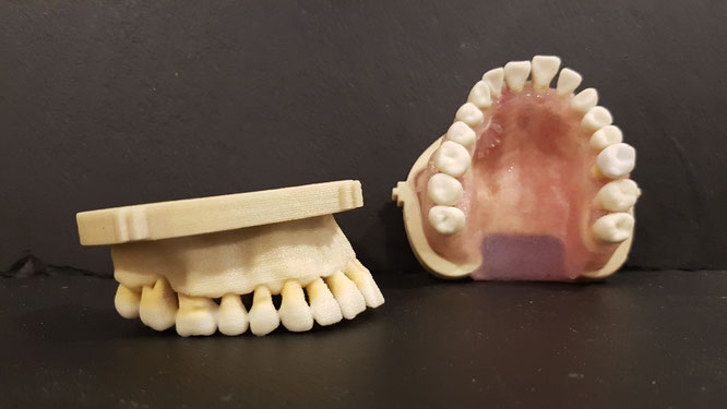 ParoSphère Formation | Cycle Paro Avancé | Modèle pédagogique 3D