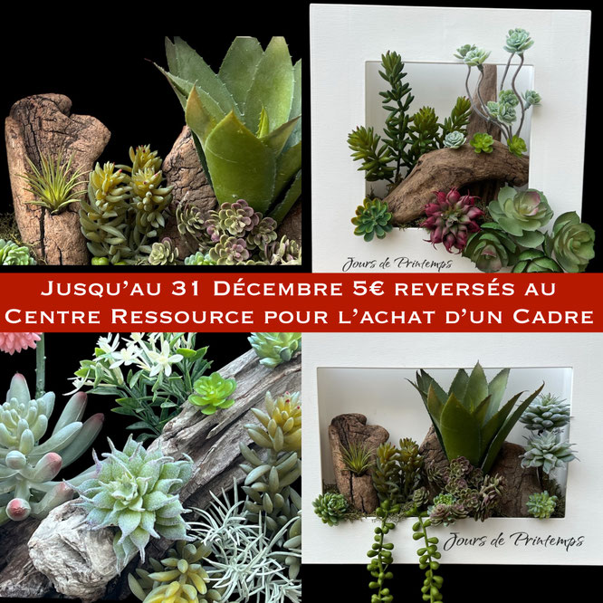 cinq-euros-reverses-au-centre-ressource-achat-cadre-vegetal-sans-entretien