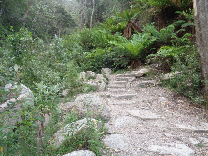 Wilsons Promontory