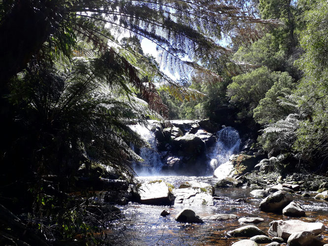 Halls Falls