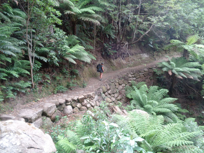 Wilsons Promontory
