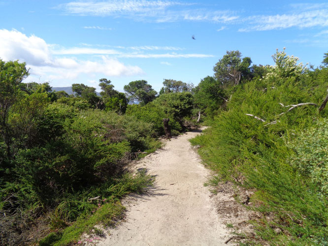 Wilsons Promontory