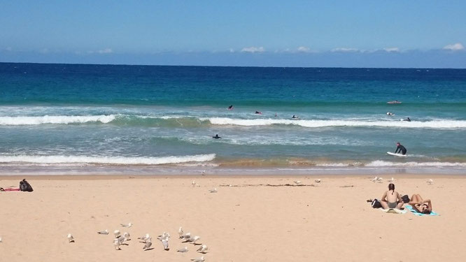 Manly Beach Sydney Australia