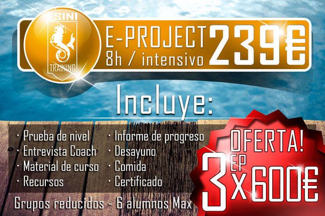 Contenido E-PROJECT