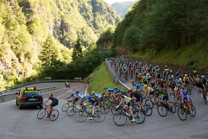 Feld bei der TOUR Transalp 2017 © Uwe Geissler