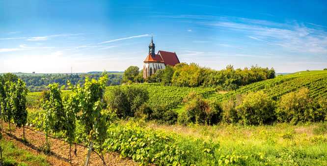 Unterwegs im Fränkischen / Weinland Den Steigerwald zur Linken, die Haßberge zur Rechten folgen die Radreisenden dem Fluss, der sich gemächlich seinen Weg durch das Fränkische Weinland bahnt. Bildnachweis: Radweg-Reisen